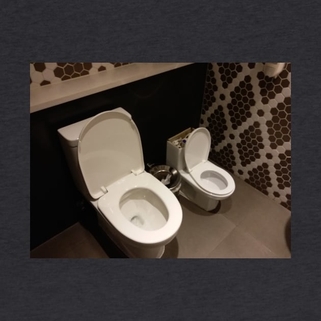 Dual toilets by Stephfuccio.com